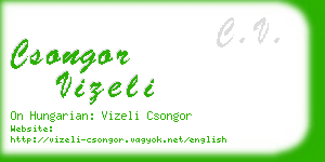 csongor vizeli business card